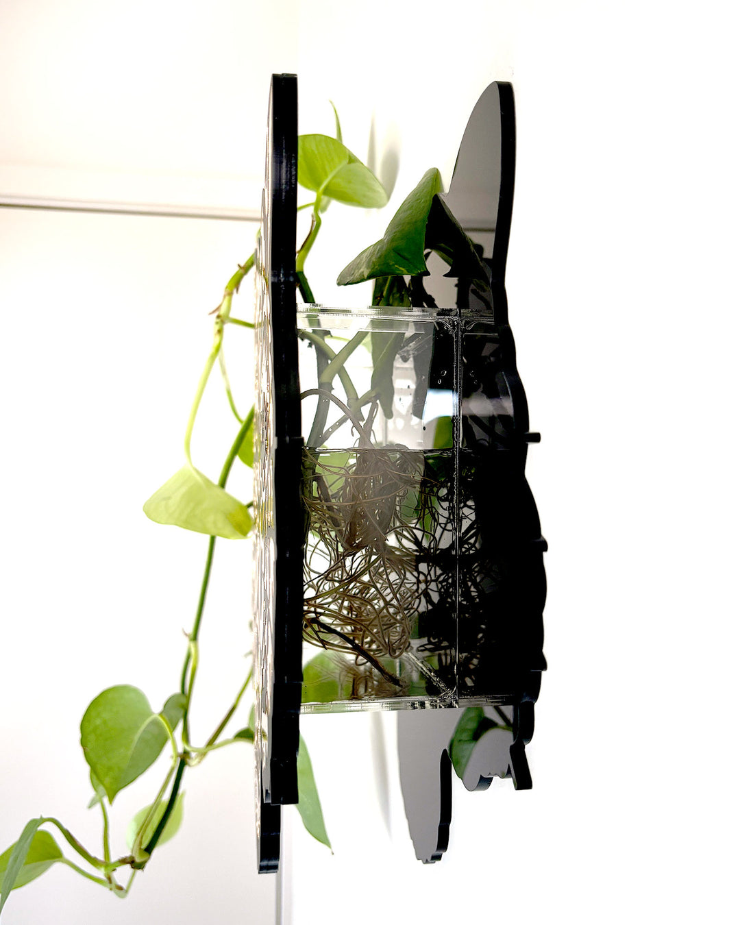 Tiger Vase (Black)