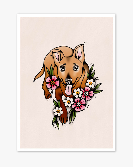 Pet Portrait